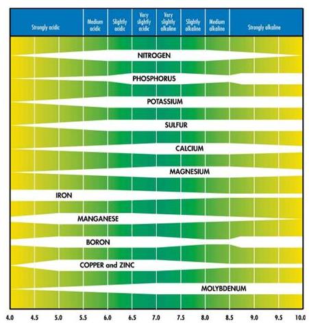 Nutrient Availability